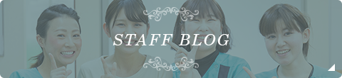 STAFF BLOG